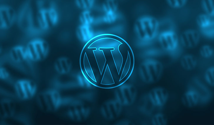 Is WordPress Only for Blogs?