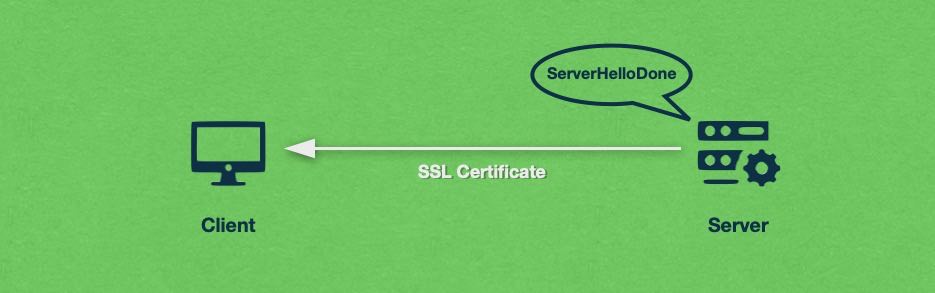 The server then proceeds to send a copy of its SSL certificate to the client.