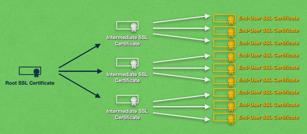 The chain of trust starts with the Root CAs, moves through the Intermediates, and ends with the end-user SSL certificates.