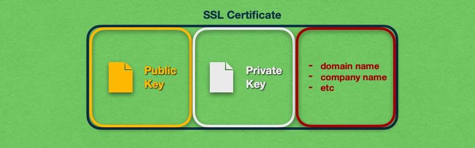 A typical SSL certificate consists of a public key, a private key, and some additional data.