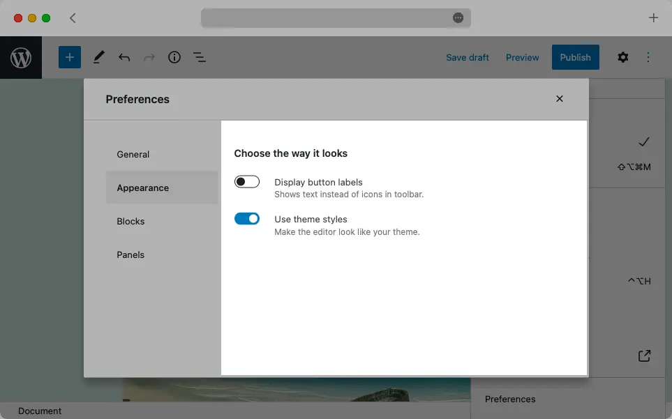 The Appearance section in Gutenberg’s Preferences contains two options.