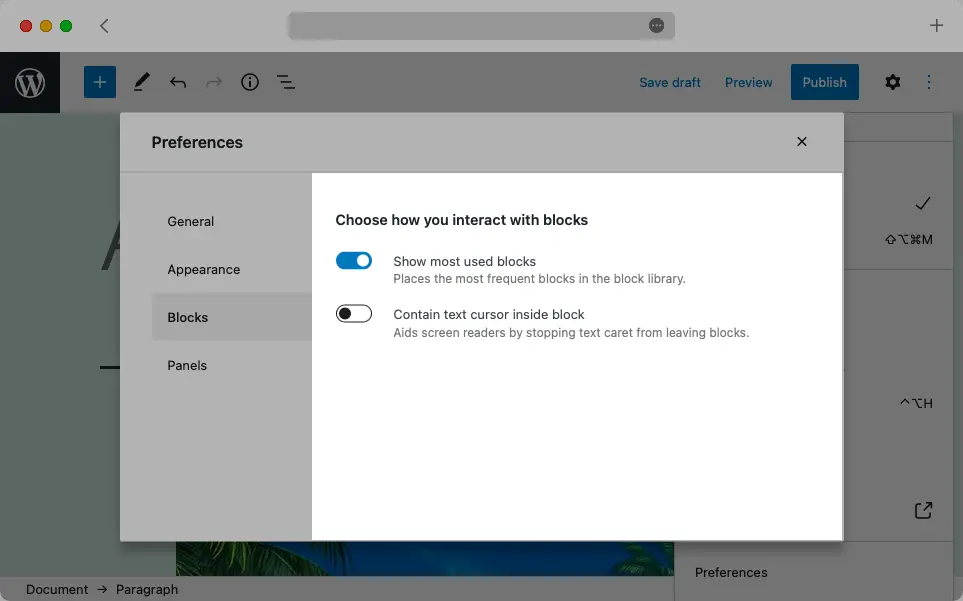 The third tab in the Preferences window contains block-related options.