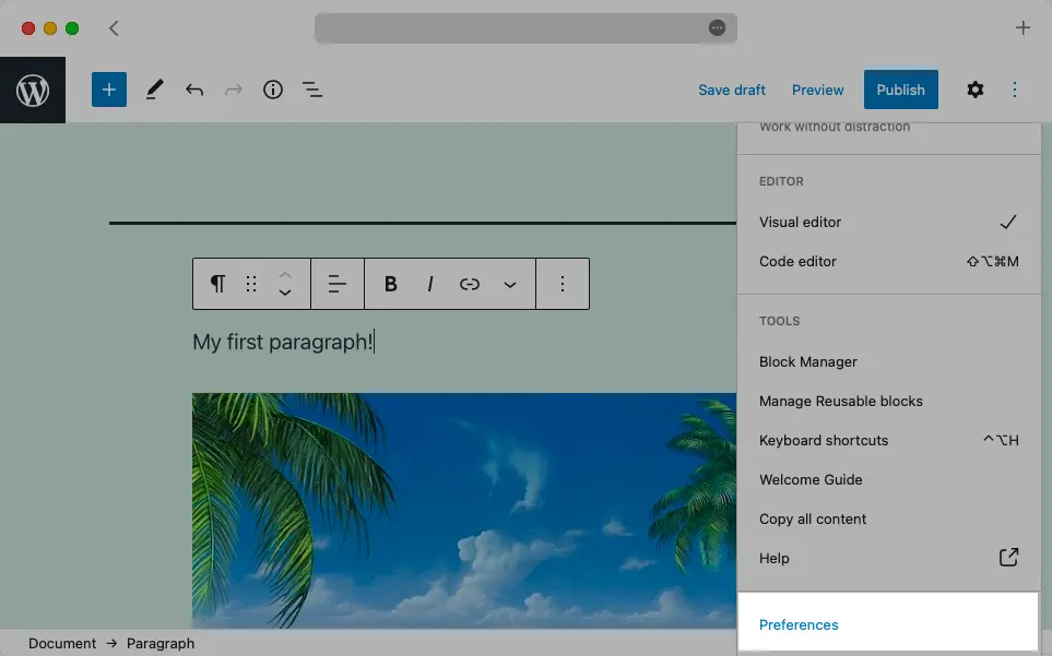 You can click on the Preferences button in order to access Gutenberg’s preference pane.