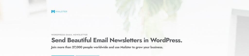 Mailster WordPress Plugin 