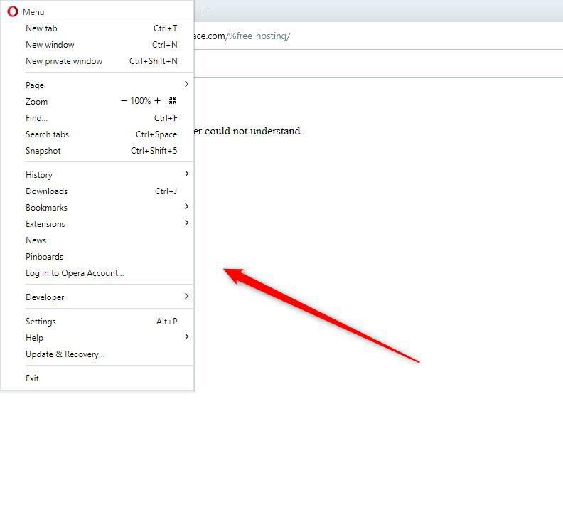 400 Error Bad Request Opera Browser Menu Options
