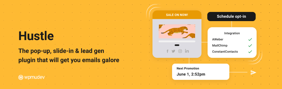 WordPress Popup Plugins Hustle