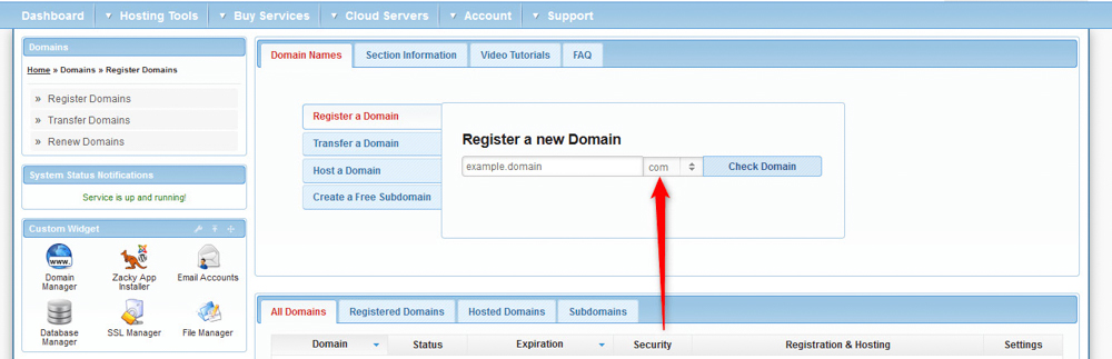 AwardSpace hosting panel domain name extension