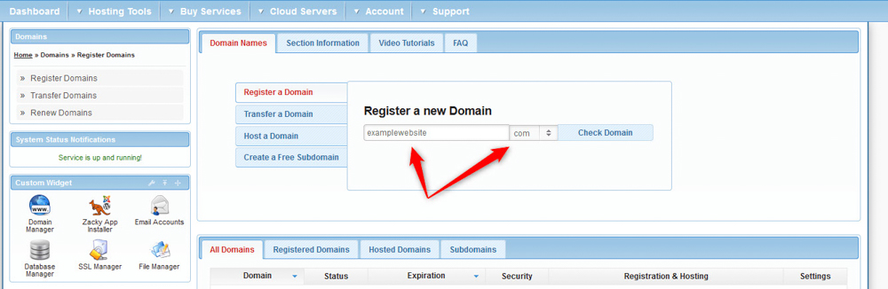 AwardSpace hosting panel domain manager choose a domain name 