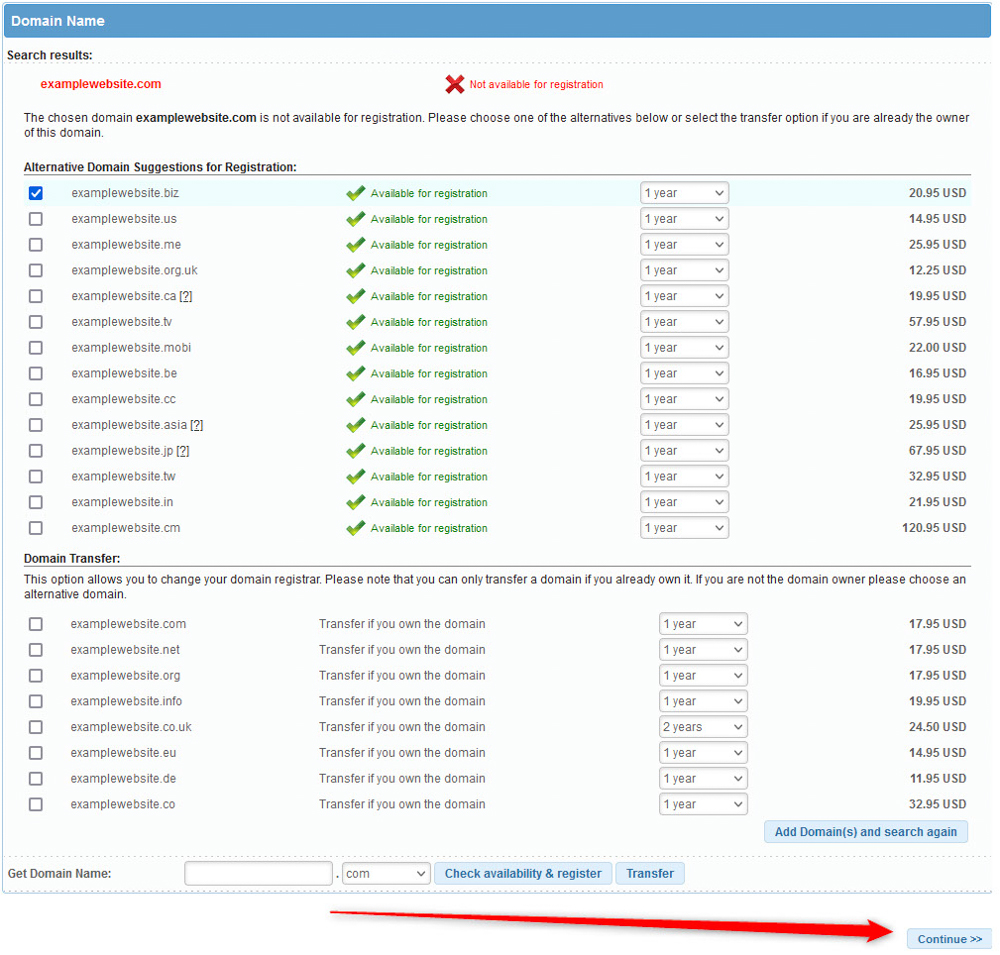 Register a domain name and proceed with payment methods